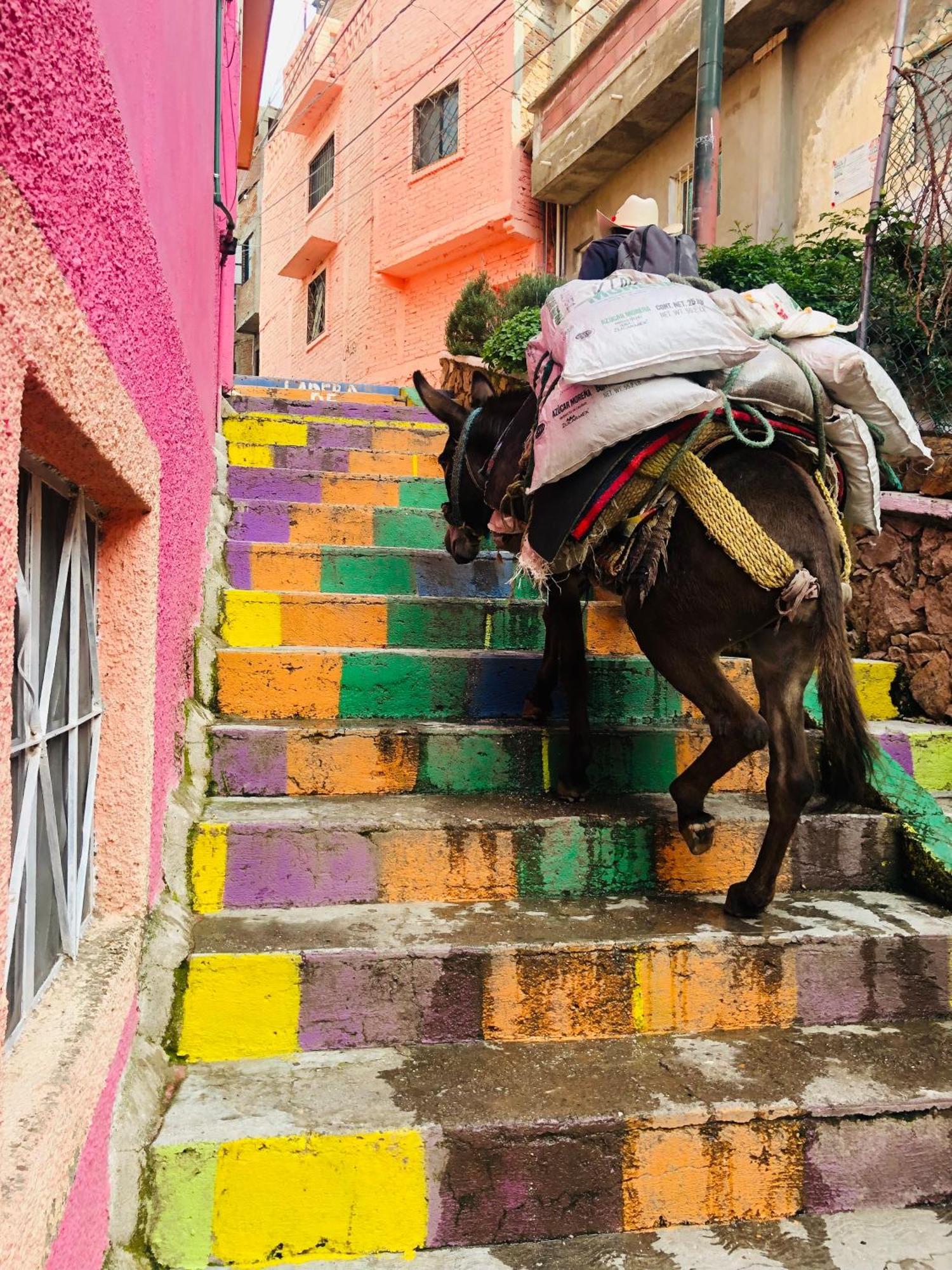 Home Sweet Home Guanajuato Esterno foto